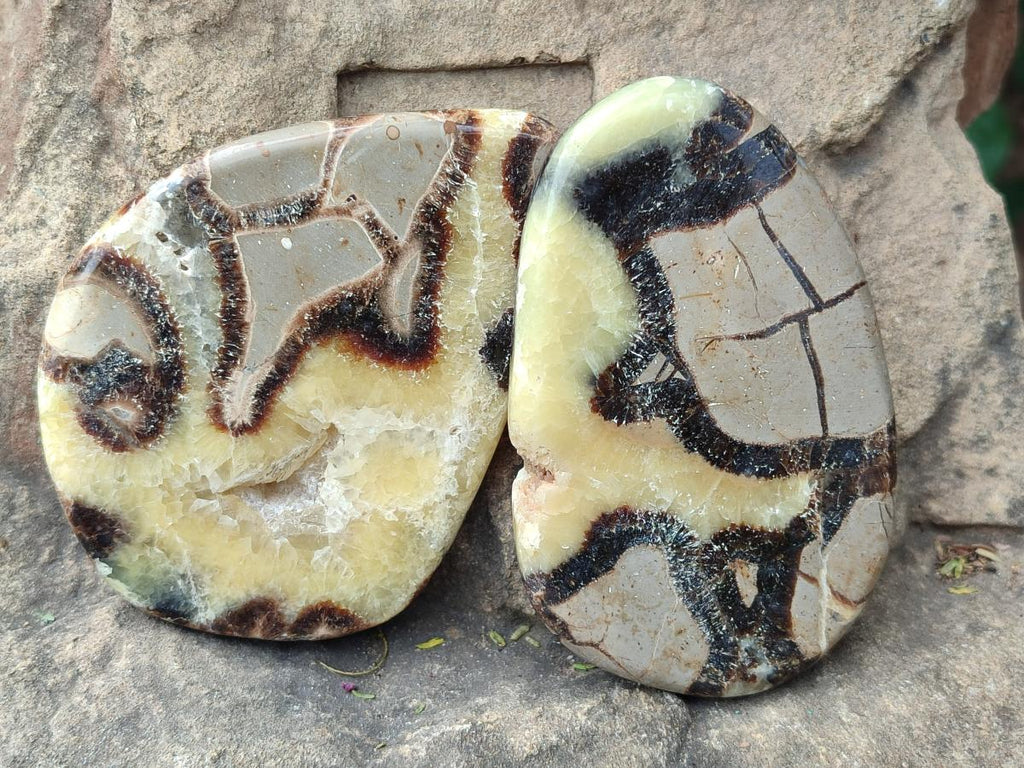 Polished Septerye Slices x 6 From Mahajanga, Madagascar - Toprock Gemstones and Minerals 