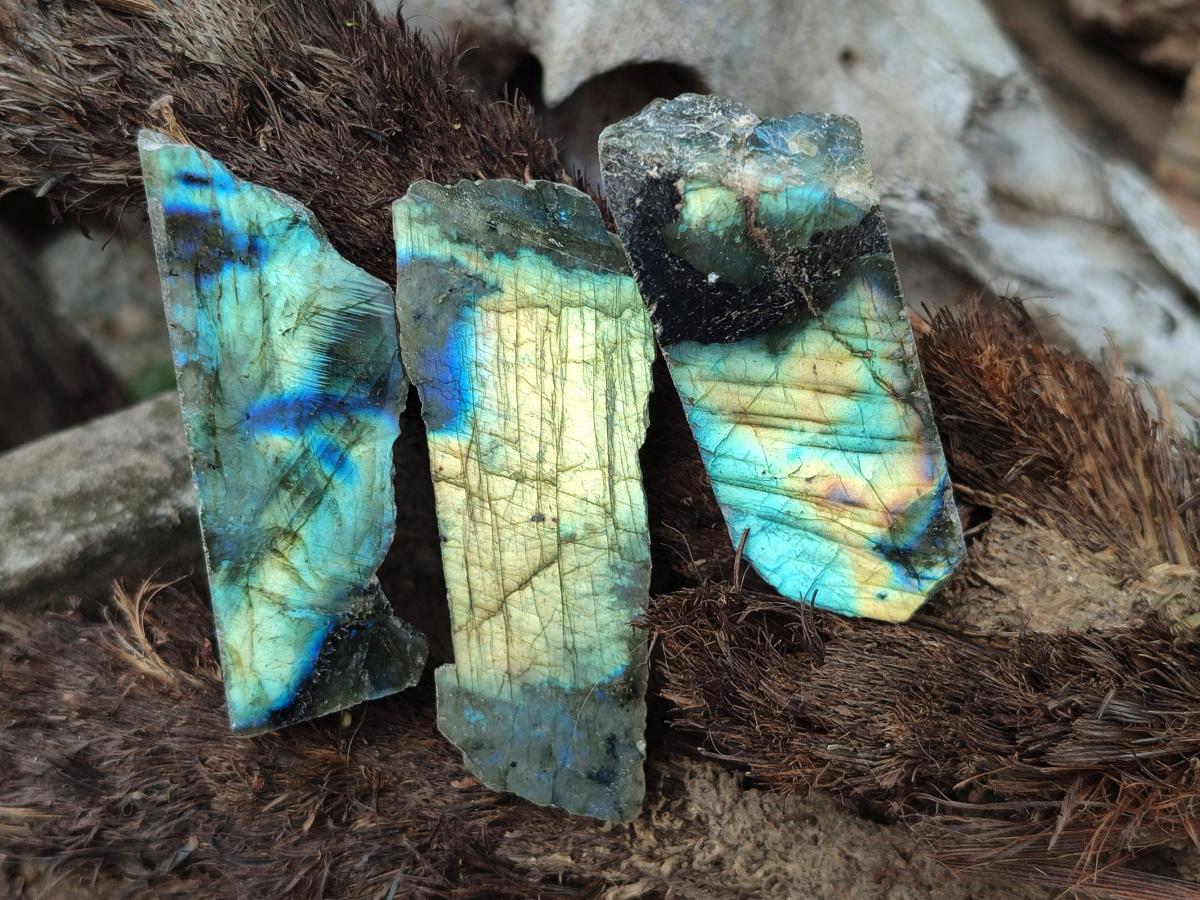 Polished One Side Labradorite Display Pieces x 35 From Madagascar - Toprock Gemstones and Minerals 