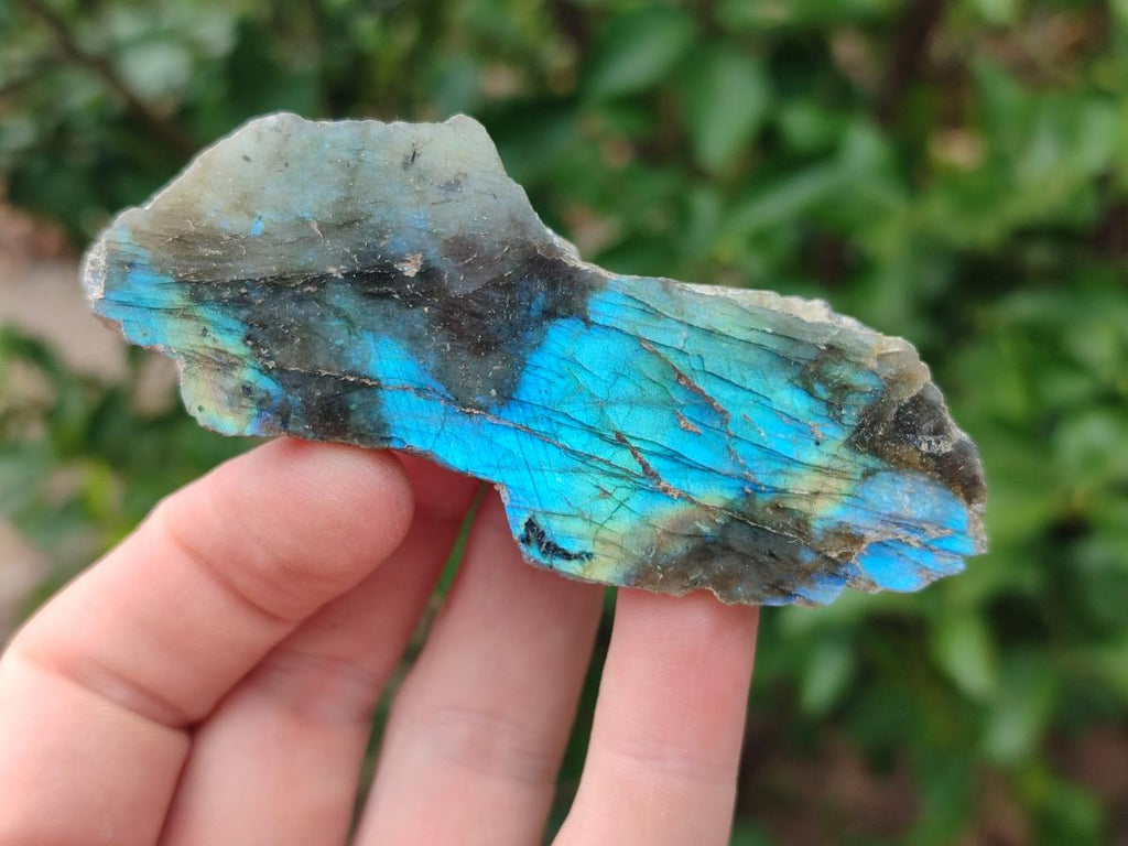 Polished One Side Labradorite Display Pieces x 35 From Madagascar - Toprock Gemstones and Minerals 