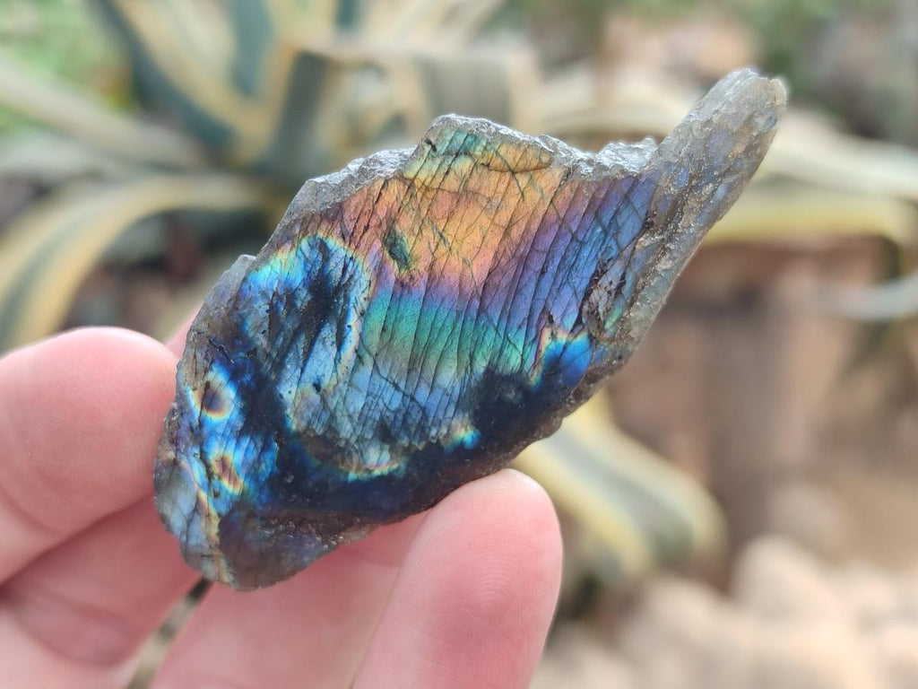 Polished One Side Labradorite Display Pieces x 35 From Madagascar - Toprock Gemstones and Minerals 