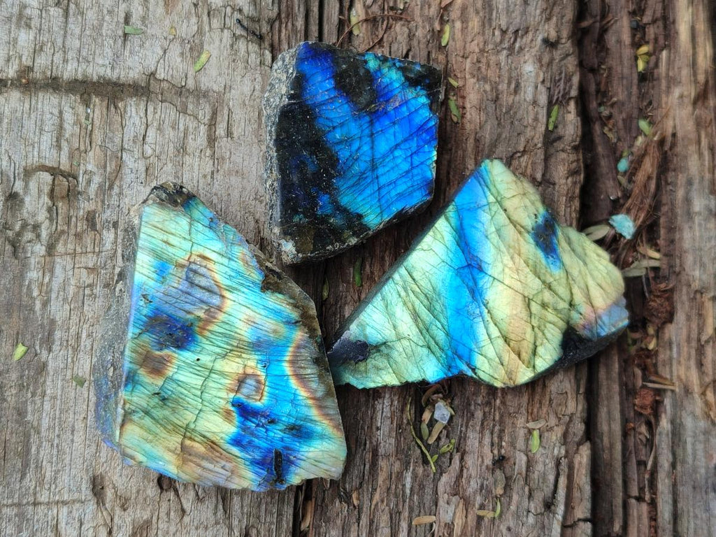 Polished One Side Labradorite Display Pieces x 35 From Madagascar - Toprock Gemstones and Minerals 