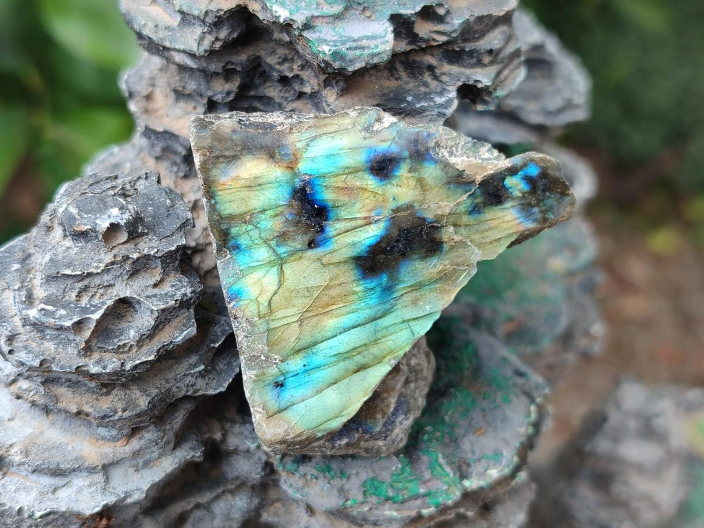 Polished One Side Labradorite Display Pieces x 35 From Madagascar - Toprock Gemstones and Minerals 