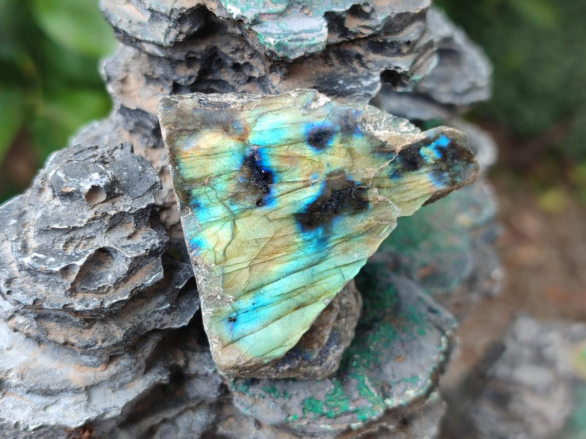 Polished One Side Labradorite Display Pieces x 35 From Madagascar - Toprock Gemstones and Minerals 