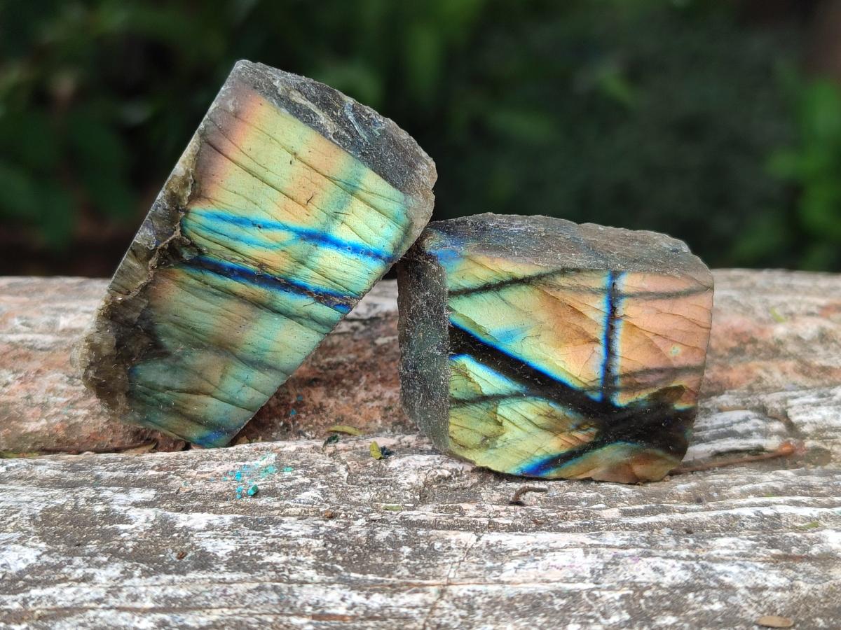 Polished One Side Labradorite Display Pieces x 35 From Madagascar - Toprock Gemstones and Minerals 