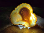 Polished Banded Agate Slices x 12 From Madagascar - Toprock Gemstones and Minerals 