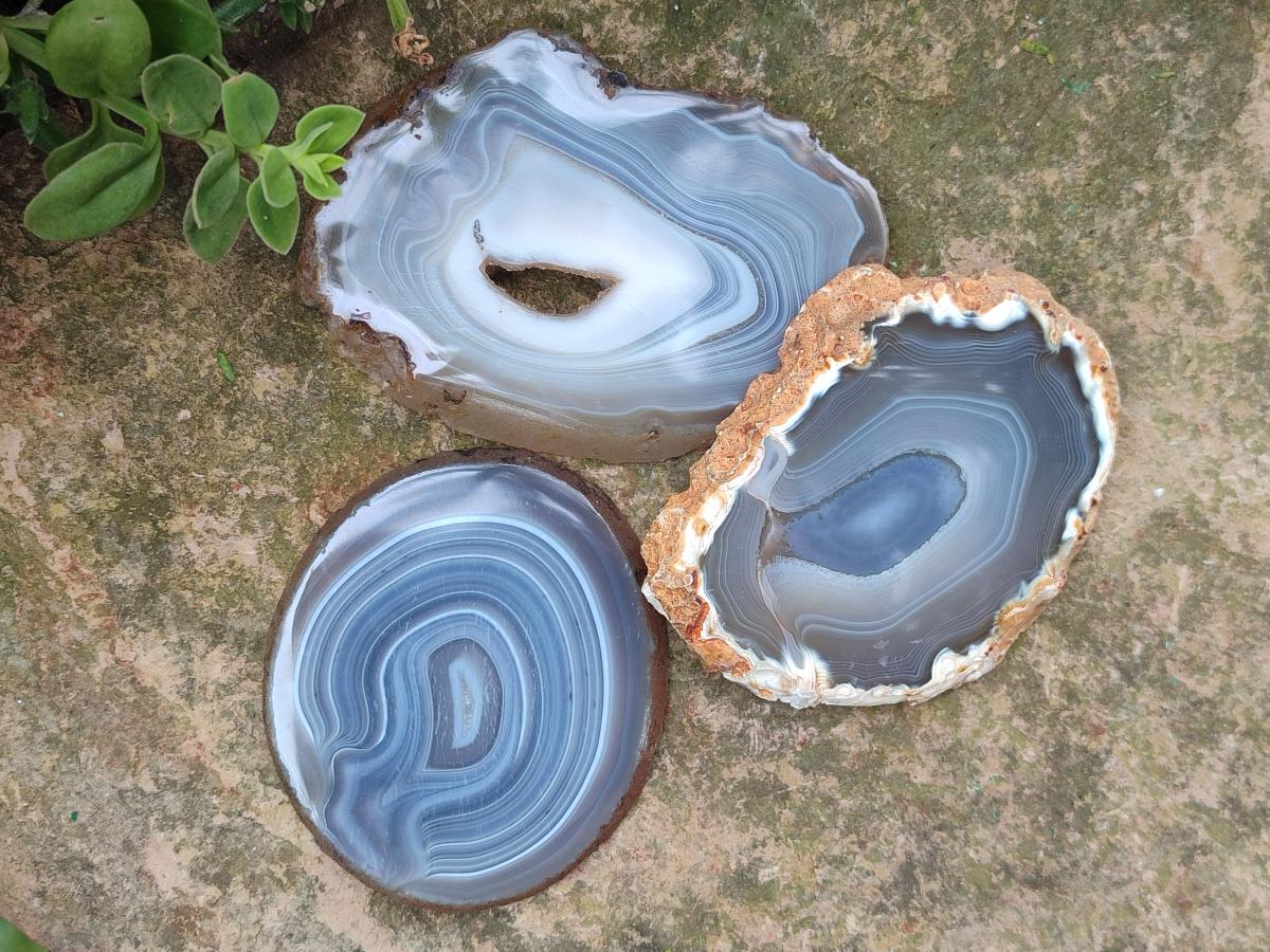 Polished Banded Agate Slices x 12 From Madagascar - Toprock Gemstones and Minerals 