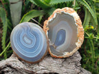 Polished Banded Agate Slices x 12 From Madagascar - Toprock Gemstones and Minerals 