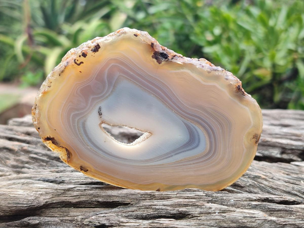 Polished Banded Agate Slices x 12 From Madagascar - Toprock Gemstones and Minerals 