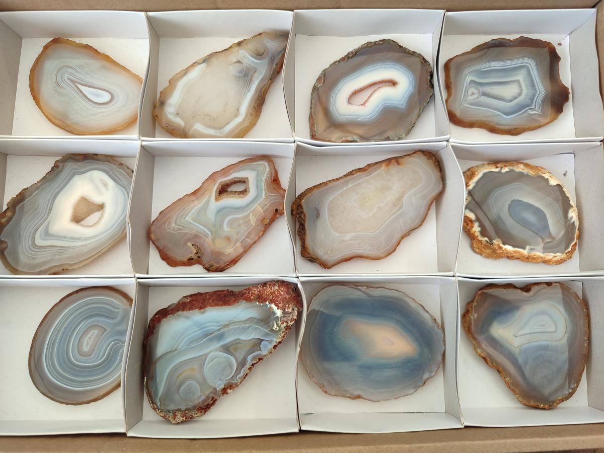 Polished Banded Agate Slices x 12 From Madagascar - Toprock Gemstones and Minerals 