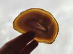 Polished Banded Agate Slices x 12 From Madagascar - Toprock Gemstones and Minerals 