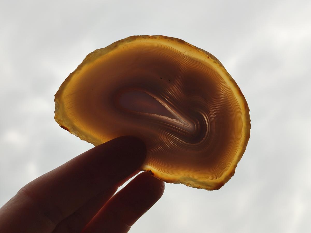 Polished Banded Agate Slices x 12 From Madagascar - Toprock Gemstones and Minerals 