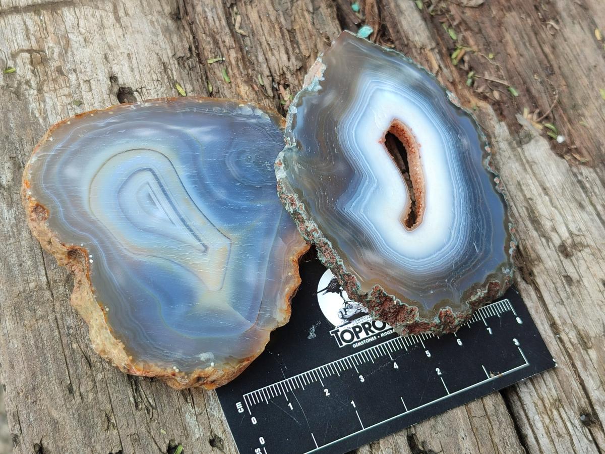 Polished Banded Agate Slices x 12 From Madagascar - Toprock Gemstones and Minerals 