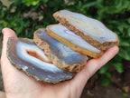 Polished Banded Agate Slices x 12 From Madagascar - Toprock Gemstones and Minerals 