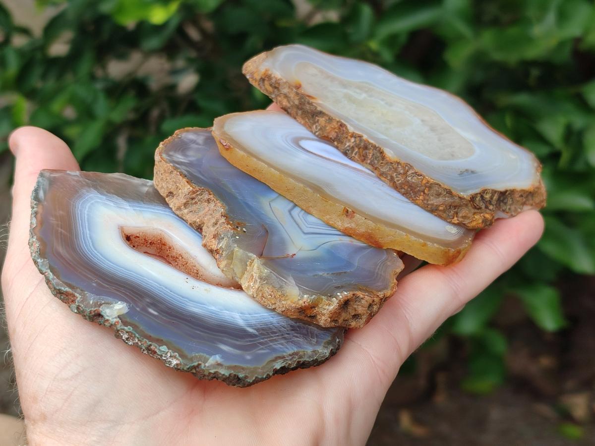 Polished Banded Agate Slices x 12 From Madagascar - Toprock Gemstones and Minerals 