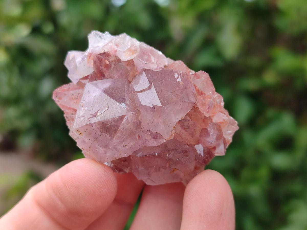 Natural Sunburst Amethyst Spirit Quartz Crystals x 35 From South Africa - Toprock Gemstones and Minerals 