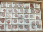 Natural Sunburst Amethyst Spirit Quartz Crystals x 35 From South Africa - Toprock Gemstones and Minerals 
