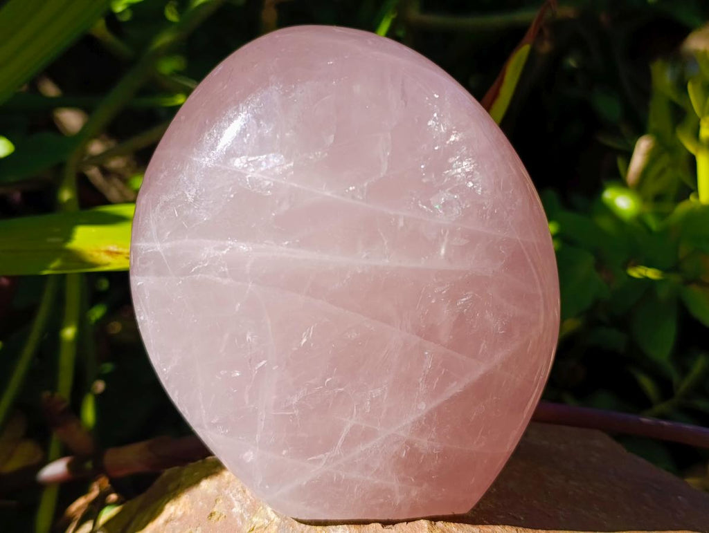 Polished Gemmy Rose Quartz Standing Free Forms x 2 From Madagascar - Toprock Gemstones and Minerals 