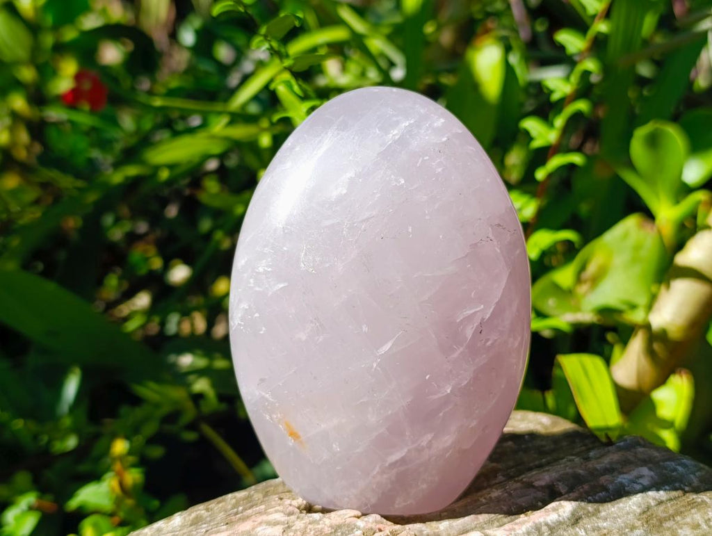 Polished Gemmy Rose Quartz Standing Free Forms x 2 From Madagascar - Toprock Gemstones and Minerals 