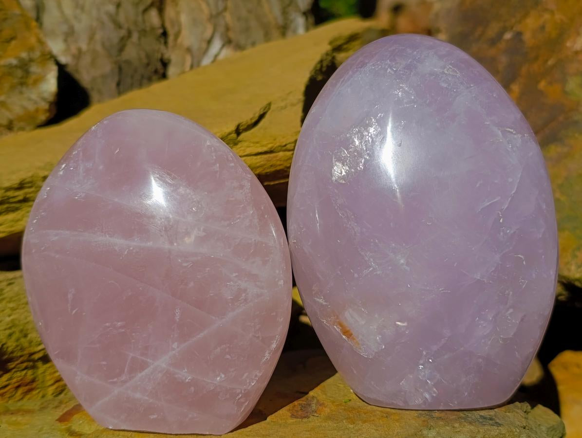 Polished Gemmy Rose Quartz Standing Free Forms x 2 From Madagascar - Toprock Gemstones and Minerals 