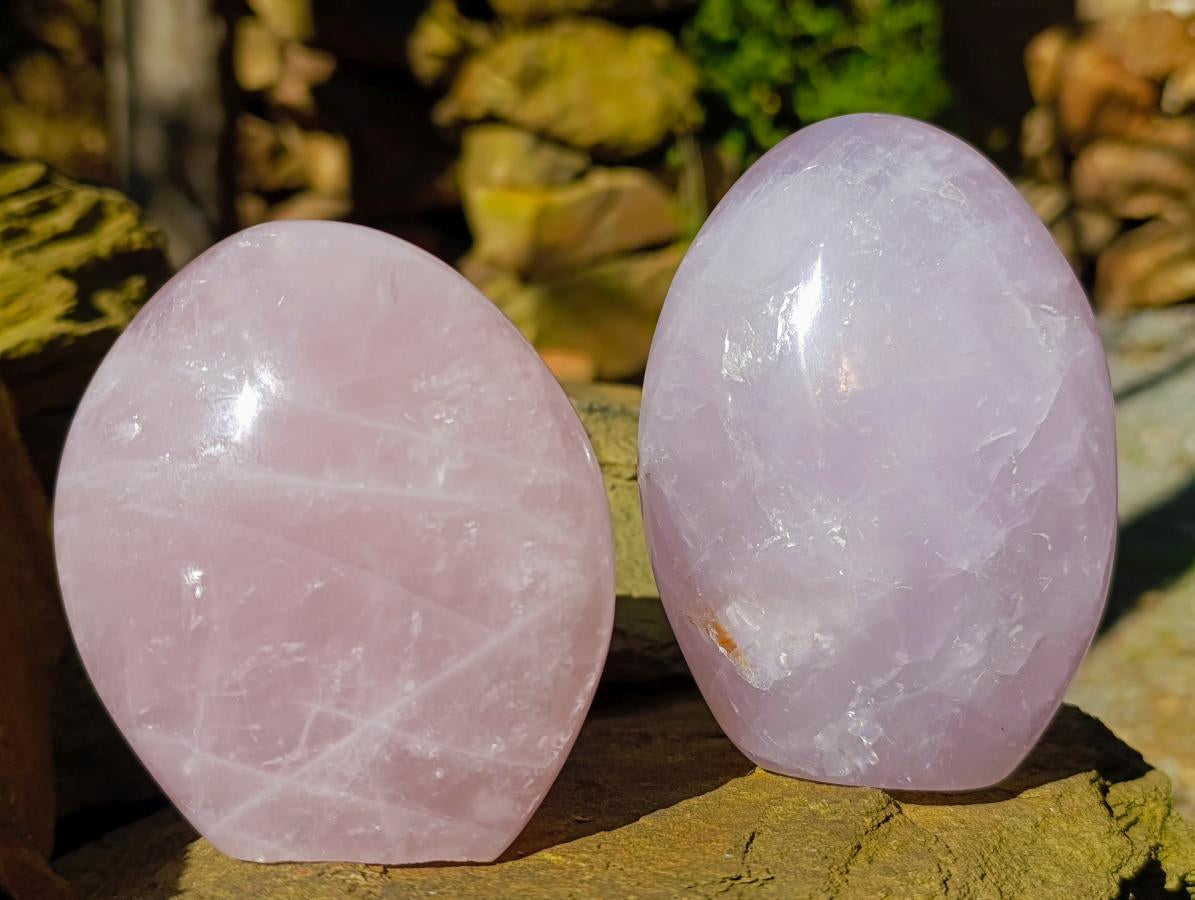Polished Gemmy Rose Quartz Standing Free Forms x 2 From Madagascar - Toprock Gemstones and Minerals 