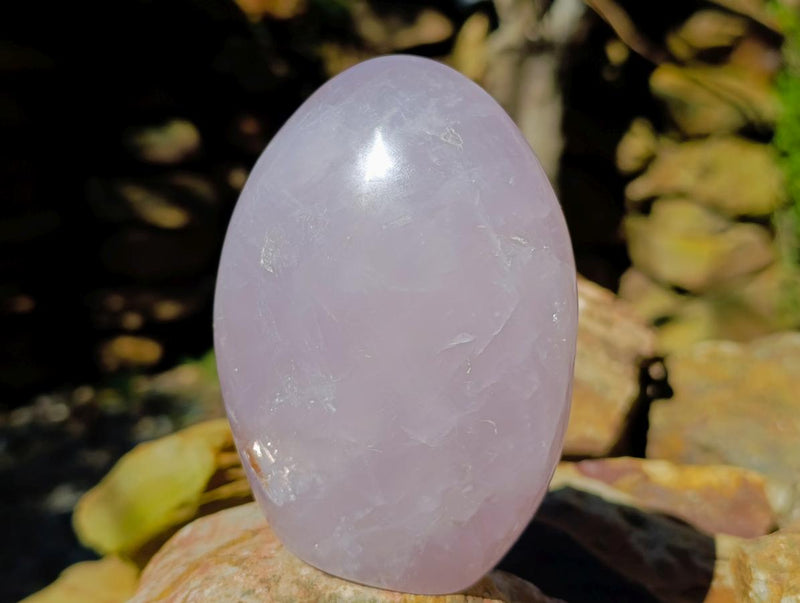 Polished Gemmy Rose Quartz Standing Free Forms x 2 From Madagascar - Toprock Gemstones and Minerals 