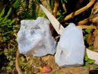 Natural Etched Blue Chalcedony Geodes x 6 From Nsanje, Malawi - Toprock Gemstones and Minerals 