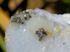 Natural Etched Blue Chalcedony Geodes x 6 From Nsanje, Malawi - Toprock Gemstones and Minerals 