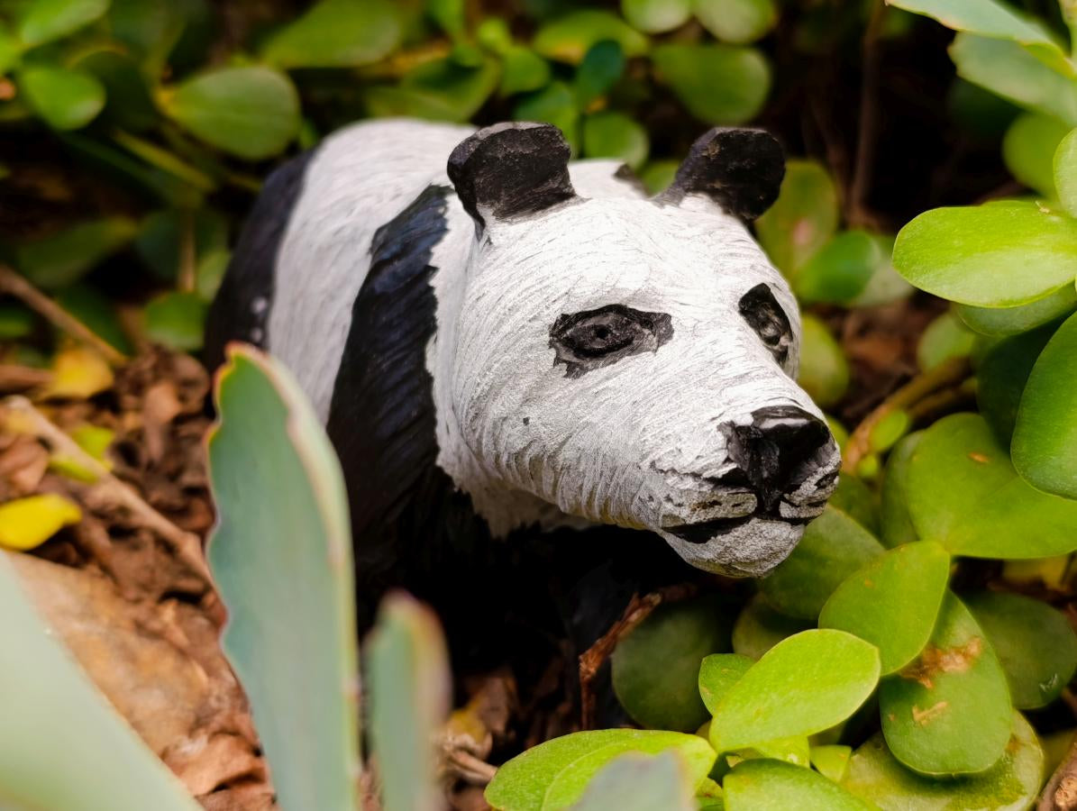 Hand Made Large Panda Soapstone Carving x 1 From Zimbabwe - Toprock Gemstones and Minerals 
