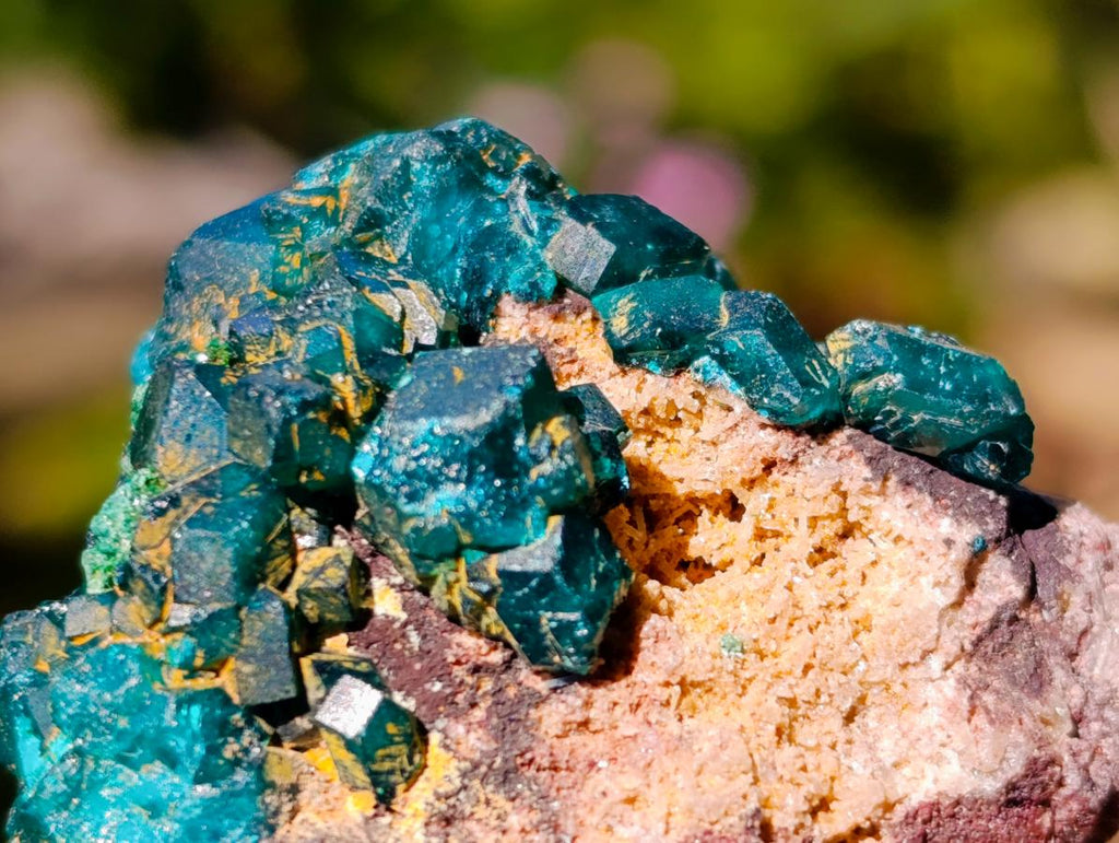 Natural Dioptase on Dolomite Specimens x 12 From Likasi, Congo - Toprock Gemstones and Minerals 