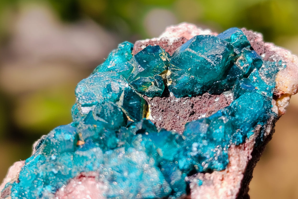 Natural Dioptase on Dolomite Specimens x 12 From Likasi, Congo - Toprock Gemstones and Minerals 