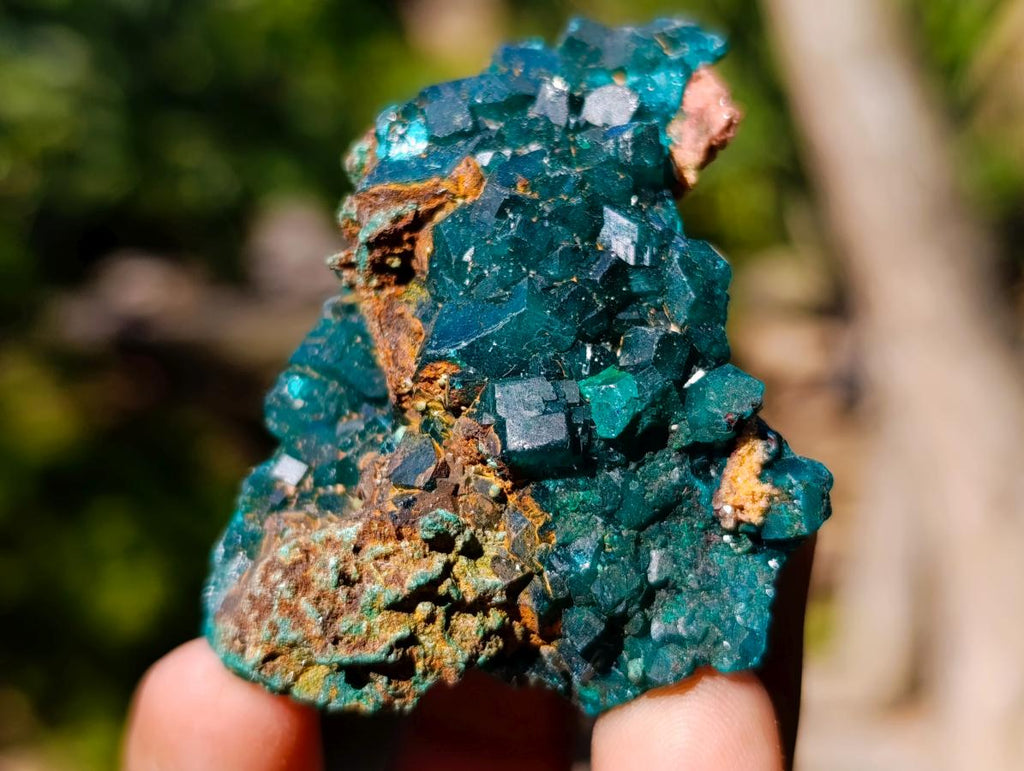 Natural Dioptase on Dolomite Specimens x 12 From Likasi, Congo - Toprock Gemstones and Minerals 