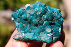 Natural Dioptase on Dolomite Specimens x 12 From Likasi, Congo - Toprock Gemstones and Minerals 