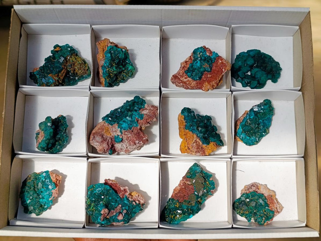 Natural Dioptase on Dolomite Specimens x 12 From Likasi, Congo - Toprock Gemstones and Minerals 
