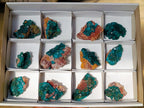 Natural Dioptase on Dolomite Specimens x 12 From Likasi, Congo - Toprock Gemstones and Minerals 