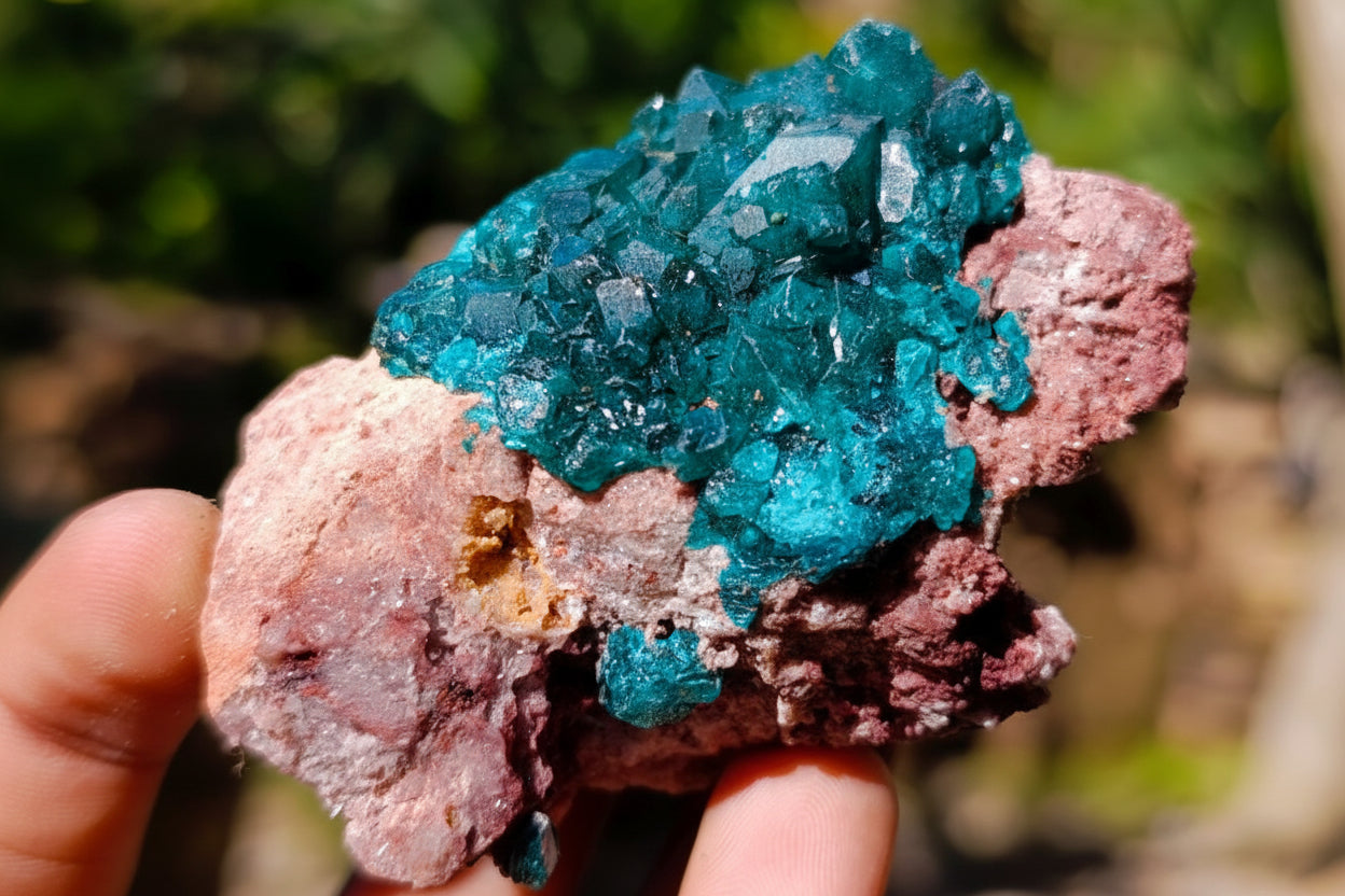 Natural Dioptase on Dolomite Specimens x 12 From Likasi, Congo - Toprock Gemstones and Minerals 