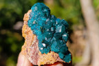 Natural Dioptase on Dolomite Specimens x 12 From Likasi, Congo - Toprock Gemstones and Minerals 