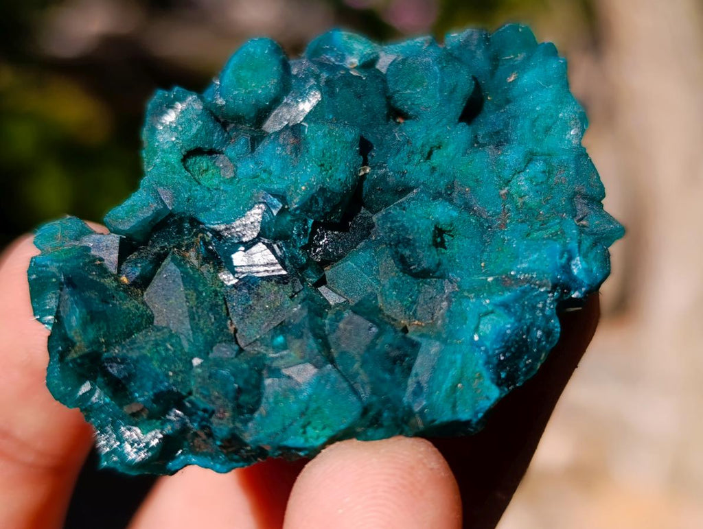 Natural Dioptase on Dolomite Specimens x 12 From Likasi, Congo - Toprock Gemstones and Minerals 