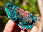Natural Dioptase on Dolomite Specimens x 12 From Likasi, Congo - Toprock Gemstones and Minerals 
