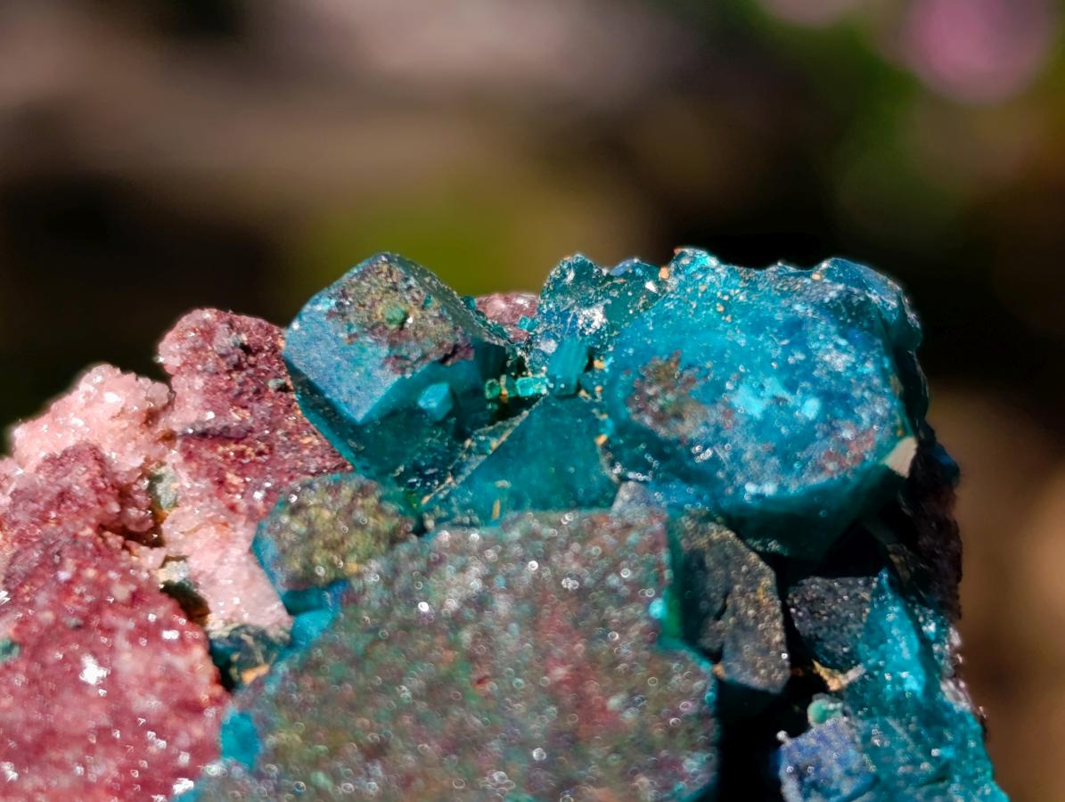 Natural Dioptase on Dolomite Specimens x 12 From Likasi, Congo - Toprock Gemstones and Minerals 