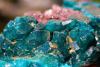 Natural Dioptase on Dolomite Specimens x 12 From Likasi, Congo - Toprock Gemstones and Minerals 