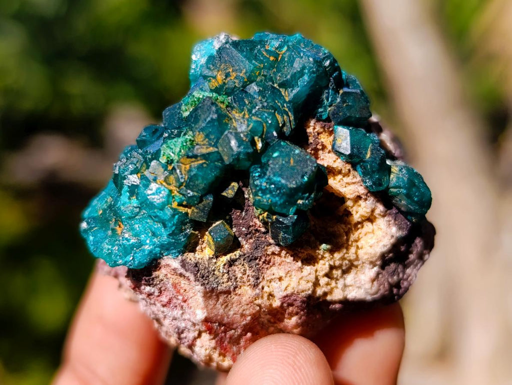 Natural Dioptase on Dolomite Specimens x 12 From Likasi, Congo - Toprock Gemstones and Minerals 