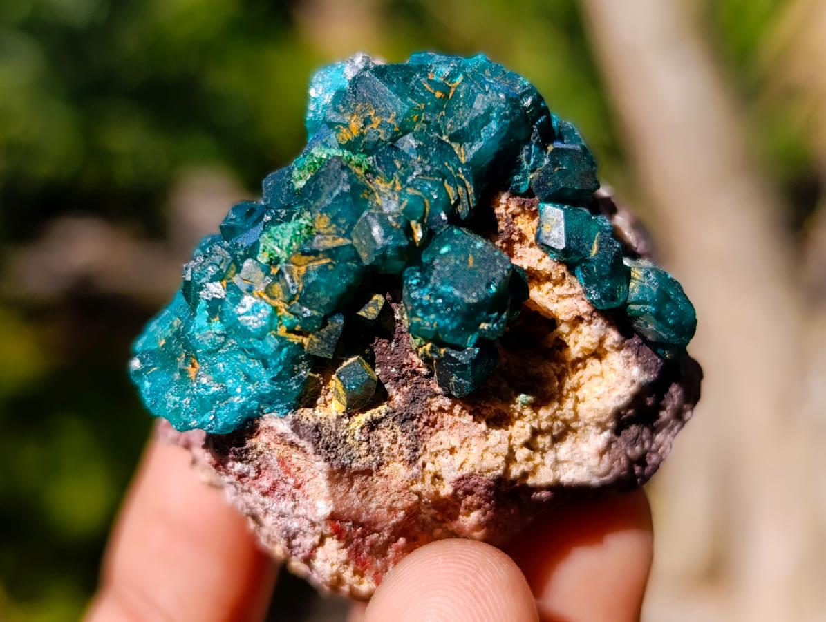 Natural Dioptase on Dolomite Specimens x 12 From Likasi, Congo - Toprock Gemstones and Minerals 