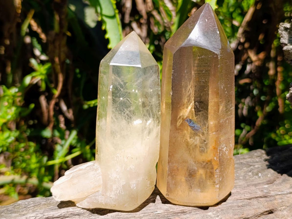Semi-Polished Smokey Quartz Crystals x 12 From Zimbabwe - Toprock Gemstones and Minerals 