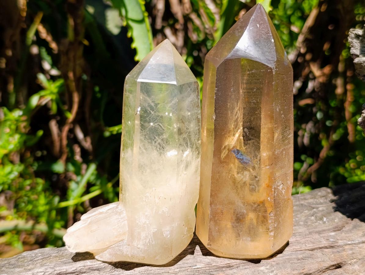 Semi-Polished Smokey Quartz Crystals x 12 From Zimbabwe - Toprock Gemstones and Minerals 
