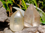 Semi-Polished Smokey Quartz Crystals x 12 From Zimbabwe - Toprock Gemstones and Minerals 