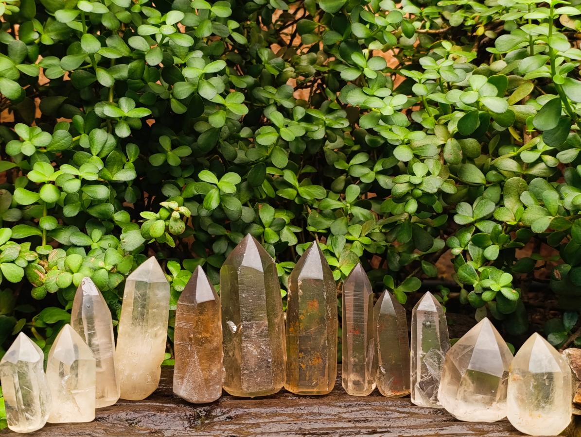 Semi-Polished Smokey Quartz Crystals x 12 From Zimbabwe - Toprock Gemstones and Minerals 