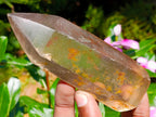 Semi-Polished Smokey Quartz Crystals x 12 From Zimbabwe - Toprock Gemstones and Minerals 