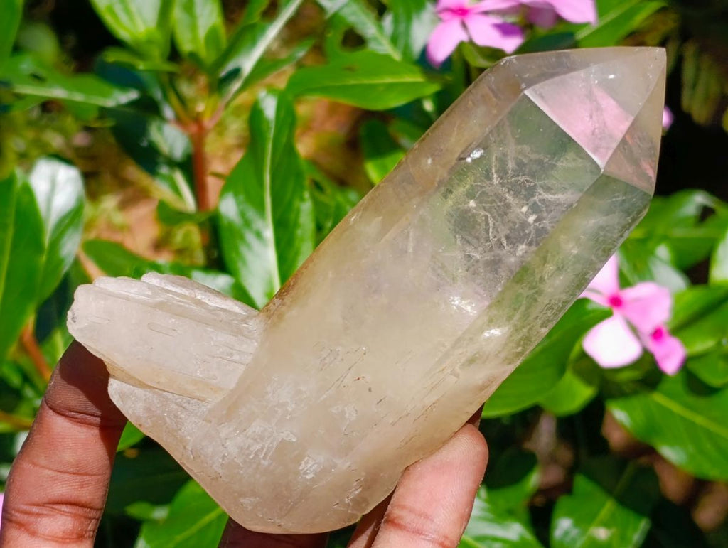 Semi-Polished Smokey Quartz Crystals x 12 From Zimbabwe - Toprock Gemstones and Minerals 