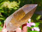 Semi-Polished Smokey Quartz Crystals x 12 From Zimbabwe - Toprock Gemstones and Minerals 