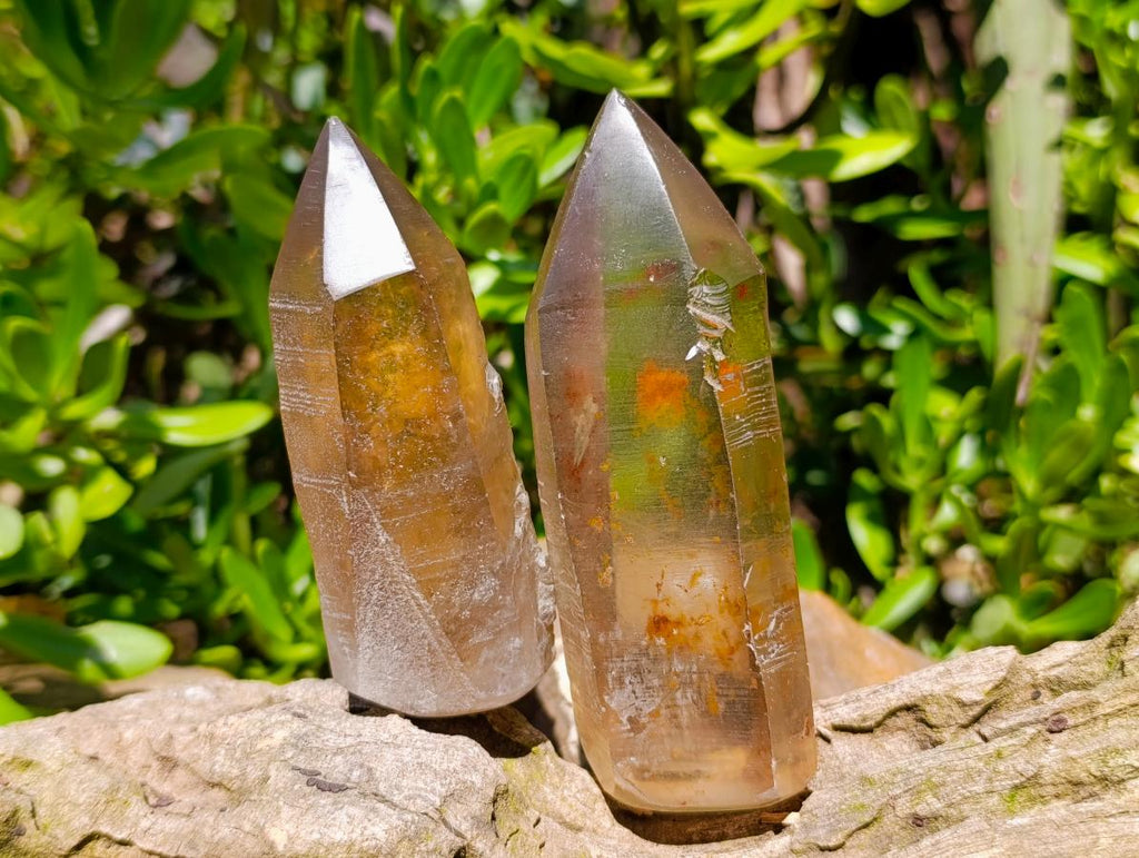 Semi-Polished Smokey Quartz Crystals x 12 From Zimbabwe - Toprock Gemstones and Minerals 